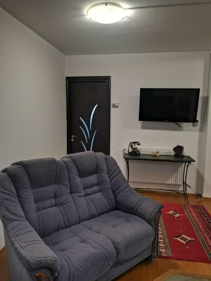 كلوج-نابوكا Viking Apartment Grigo الغرفة الصورة